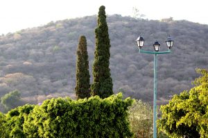 Iramuco Acambaro, Guanajuato 2018