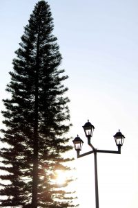 Iramuco Acambaro, Guanajuato 2018