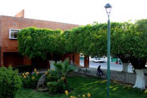 Iramuco Acambaro, Guanajuato 2018