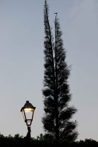 Paracuaro Acambaro, Guanajuato 2018