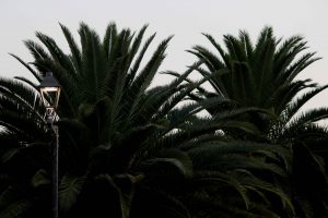 Paracuaro Acambaro, Guanajuato 2018